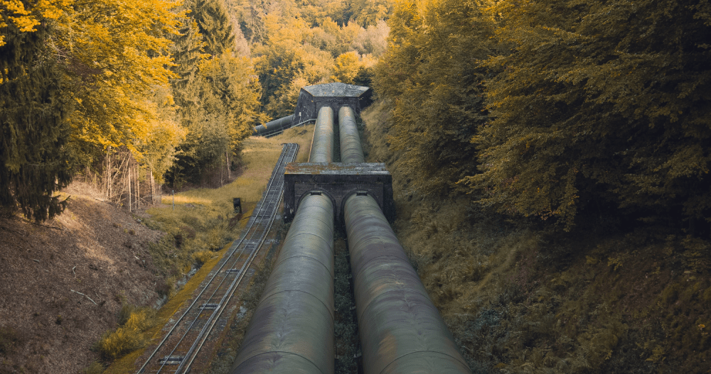 pipeline in wooded area
